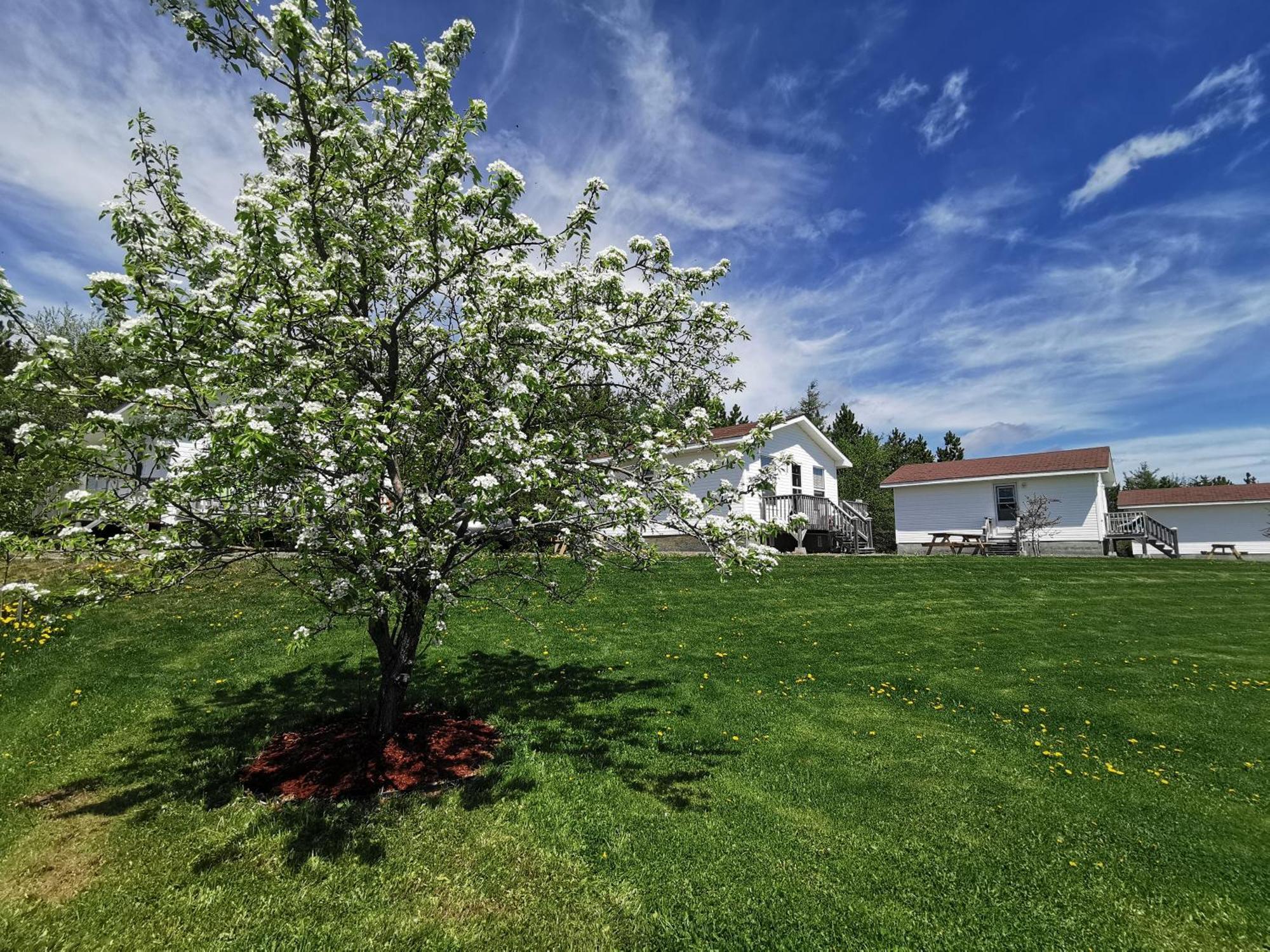 L'Ancrage B&B And Cottages Saint Louis de Kent Zewnętrze zdjęcie